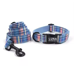 Collar para perro con placa identificativa y cuadros de colores