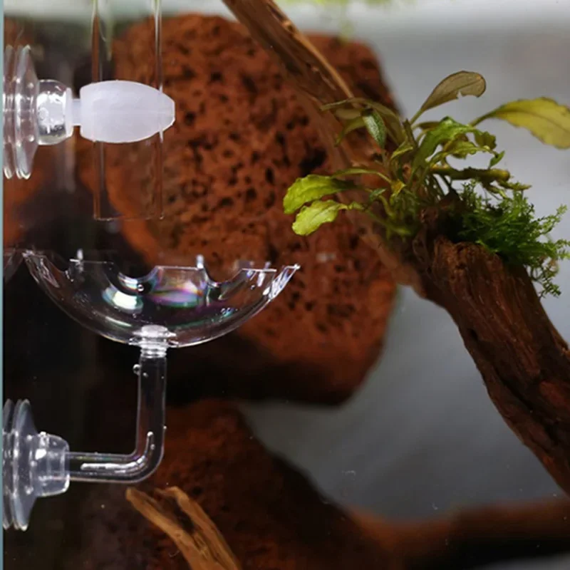 Alimentador de alimentos para peces de acuario, tubo de alimentación de vidrio transparente, plato de succión, cuenco para camarones, tubo alimentador para bandeja alimentadora de tanque de peces - imagen 4