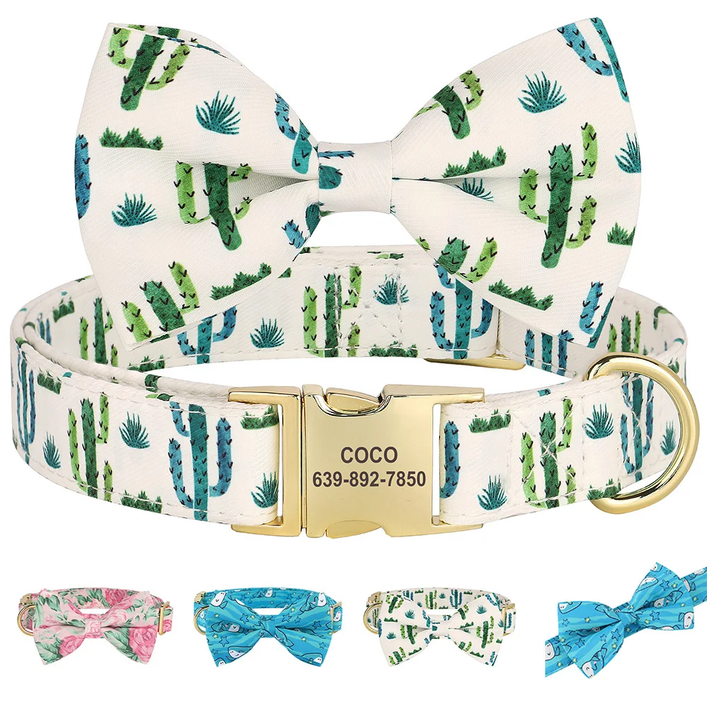 Collar identificación perro personalizado - vista principal