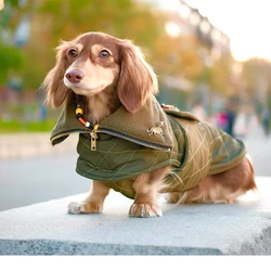 Abrigo verde militar para perro salchicha – Cálido e impermeable