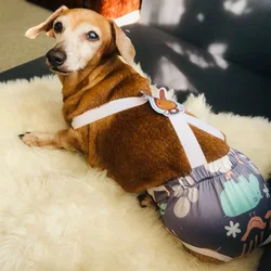 Pantalones cortos fisiológicos para perros, cachorros y Schnauzer