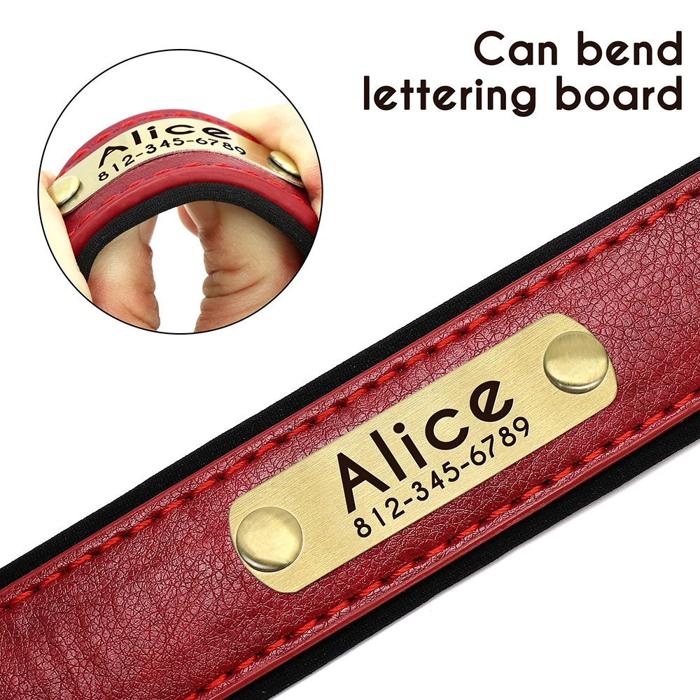 Collar identificativo acolchado para perros – Placa grabable - imagen 3