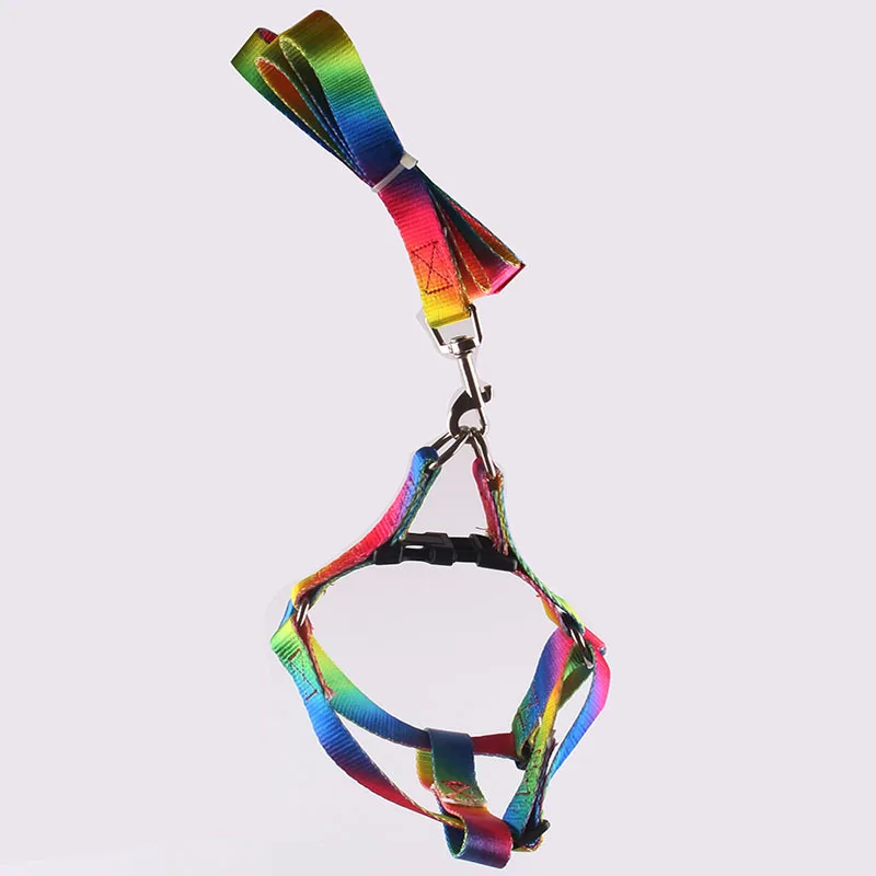 Conjunto de Collar y correa de nailon para mascotas, Collar ajustable con gradiente de Color, arnés para perros grandes, medianos y pequeños, suministros para mascotas, accesorios - imagen 2