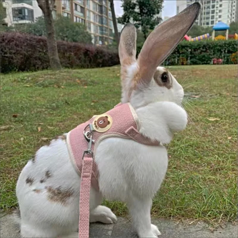 El más nuevo lindo conjunto de arnés y correa de conejo, accesorios para mascotas, chaleco, arneses, correas de conejo para caminar al aire libre, suministros para mascotas - imagen 4
