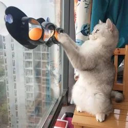 Juego interactivo para gatos – Pista con ventosa en alféizar