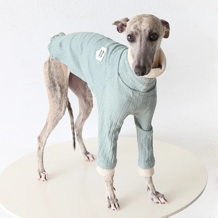 Camiseta suave verde para galgo italiano y perros grandes - imagen 3