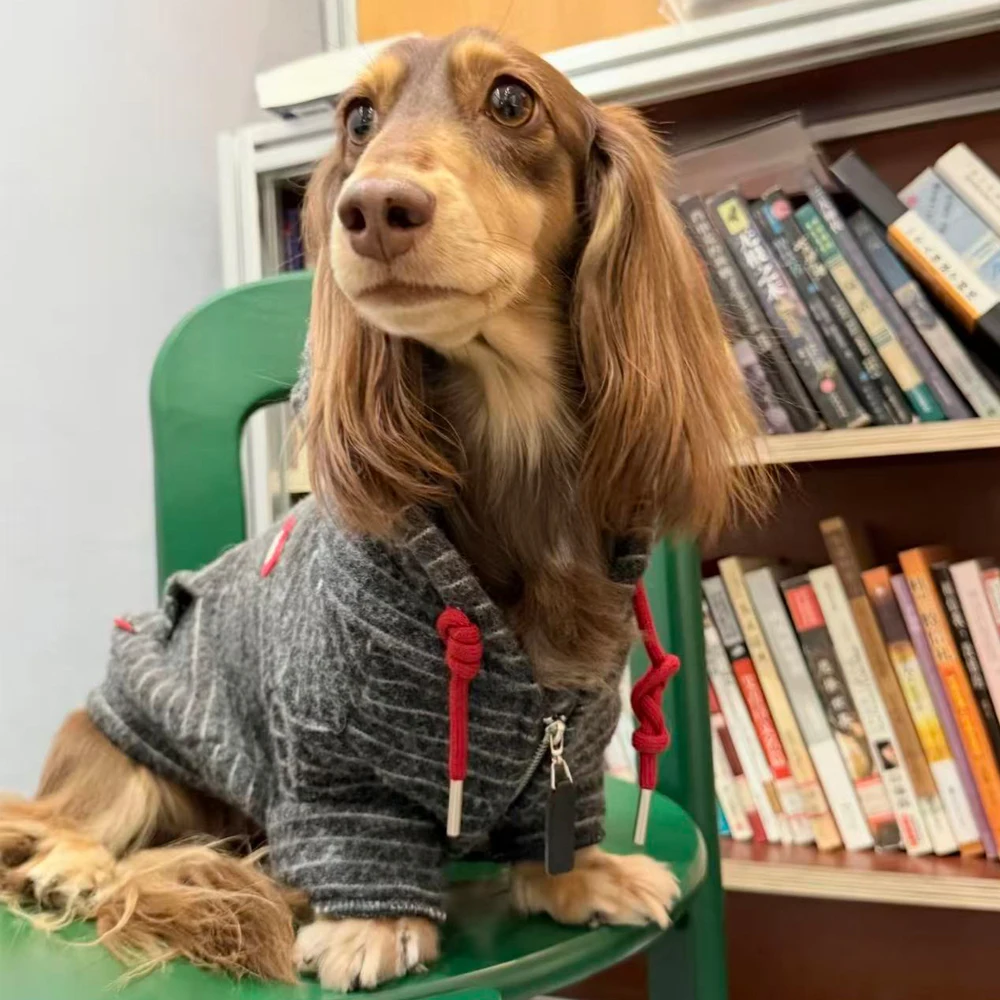 Abriguo con capucha para Dachshund y perros pequeños - imagen 2