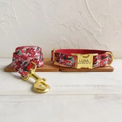 Collar personalizado para perro con grabado gratis y correa a juego