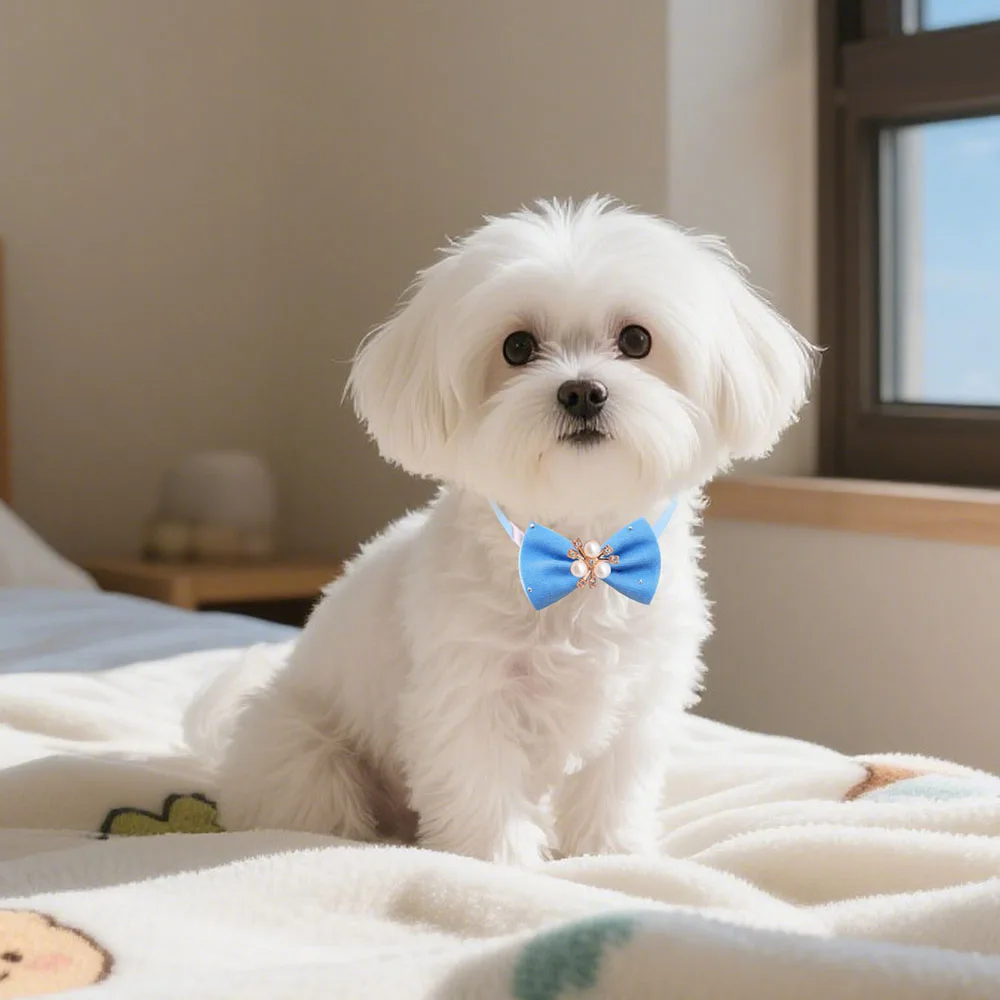 50 Uds. Pajarita para perros a granel, pajaritas a la moda para perros pequeños y gatos, corbatas para perros, productos de aseo para cachorros, suministros para mascotas para perros pequeños - imagen 3