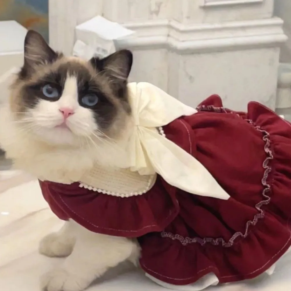 Vestido de Navidad para mascotas, vestido de princesa con lazo, abrigo de encaje para mascotas, oso de peluche, vestidos para perros Yorkshire para perros pequeños, ropa para cachorros - imagen 3