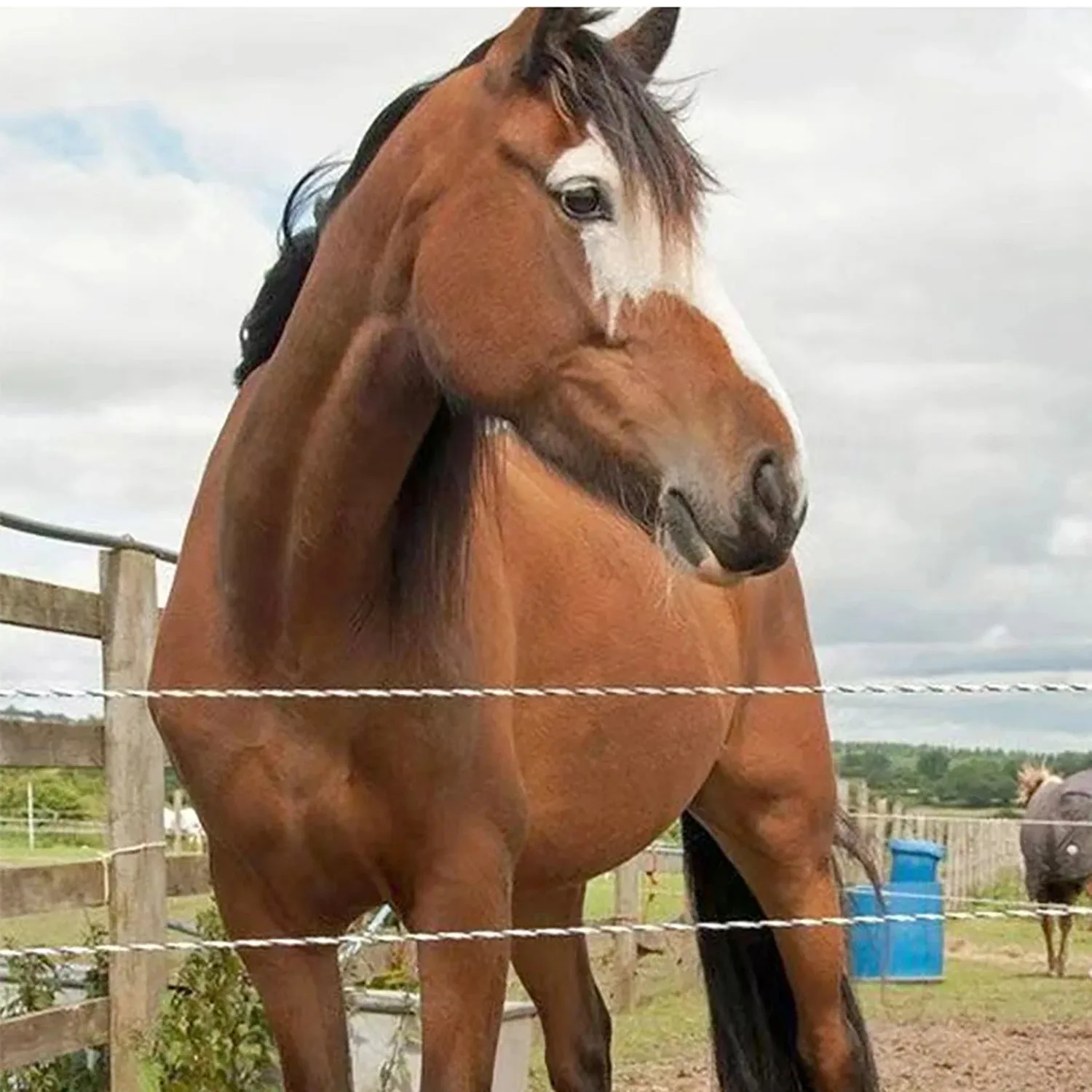 Rollo de 200/500M, cuerda de poliéster eléctrica con cuerda de polietileno de acero para cercas de animales y caballos, alambre y accesorio de resistencia ultrabaja - imagen 5
