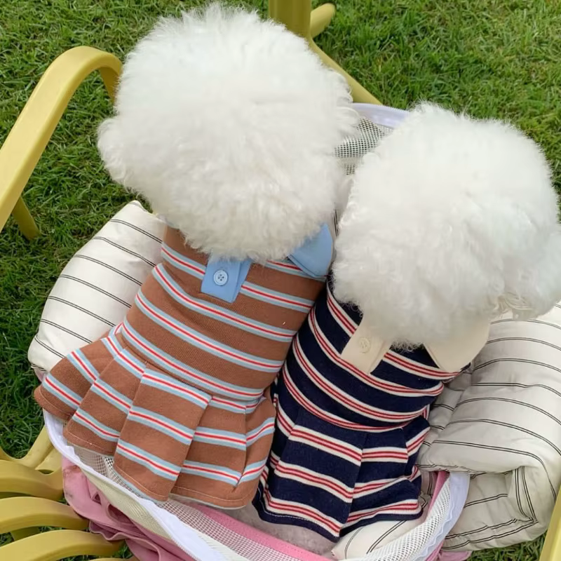 Conjunto verano rayas para perros – Ropa cómoda y fresquita - imagen 4