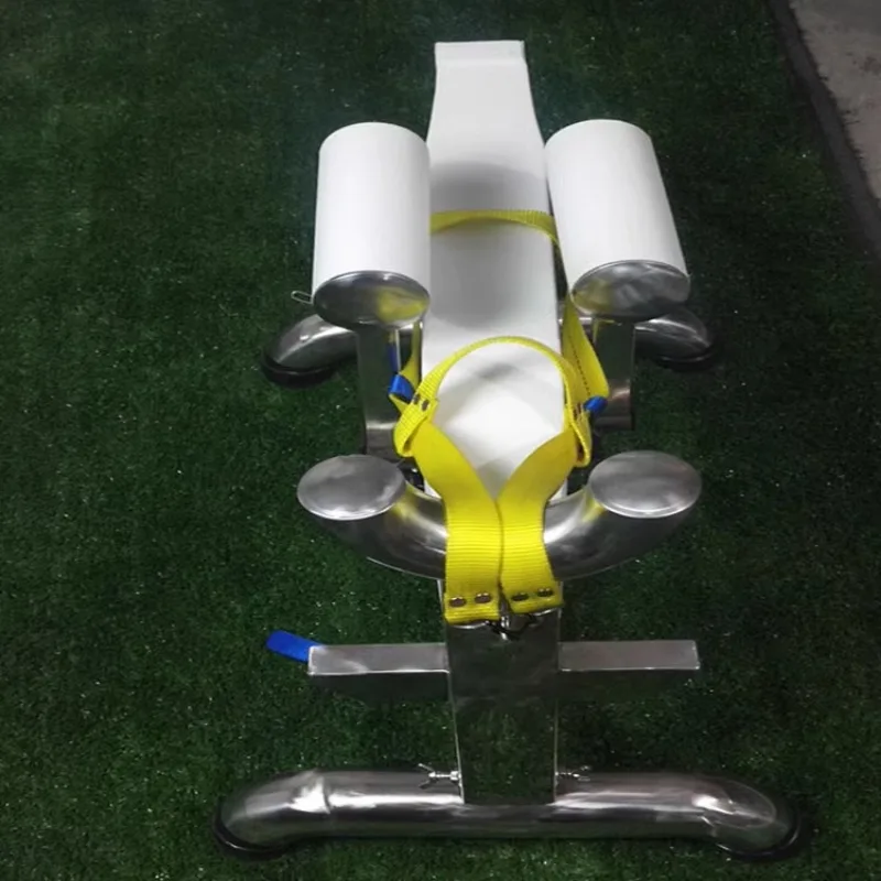 Mesa de acupuntura y moxibustión de madera maciza para mascotas, mesa de operaciones de cuero para mascotas, encuadernación fija, productos de rehabilitación médica - imagen 5