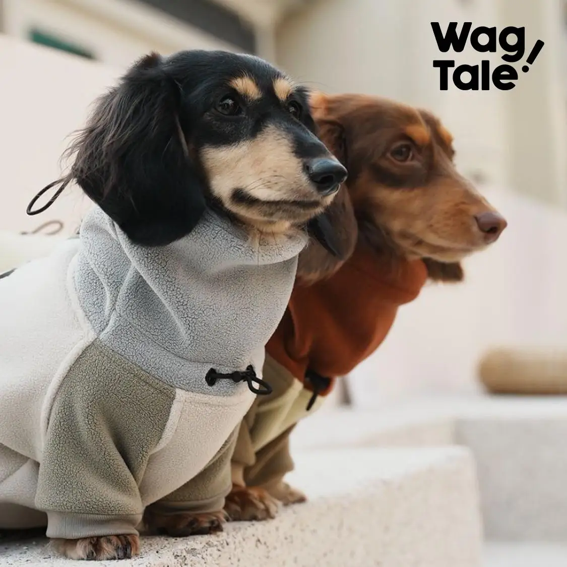 Ropa gruesa de moda para perros salchicha de 4 patas, abrigo cálido con cuello alto a prueba de viento para perros salchicha en invierno