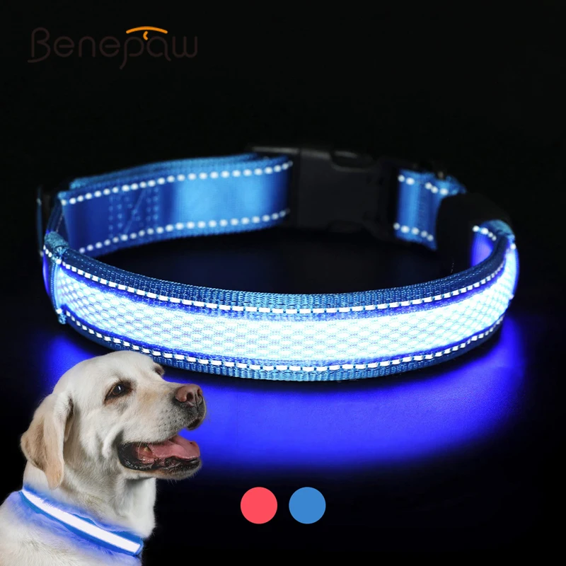 Benepaw collar perro LED recargable USB cómodo reflectante brillante perros pequeños medianos grandes
