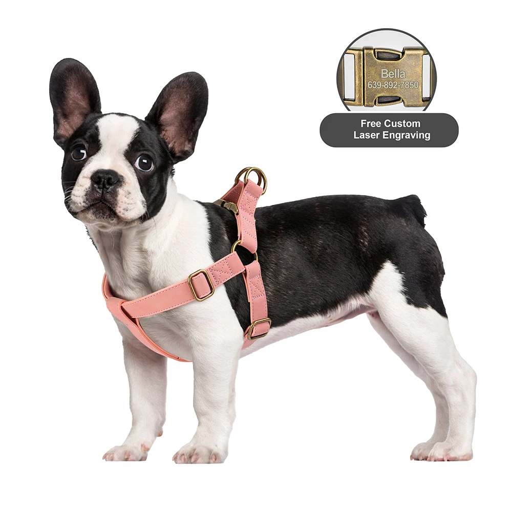 Juego de arnés y correa para perros personalizados, arnés de cuero PU para perros, hebilla de identificación grabada gratis para perros pequeños, medianos y grandes, Pitbull Pug - imagen 4