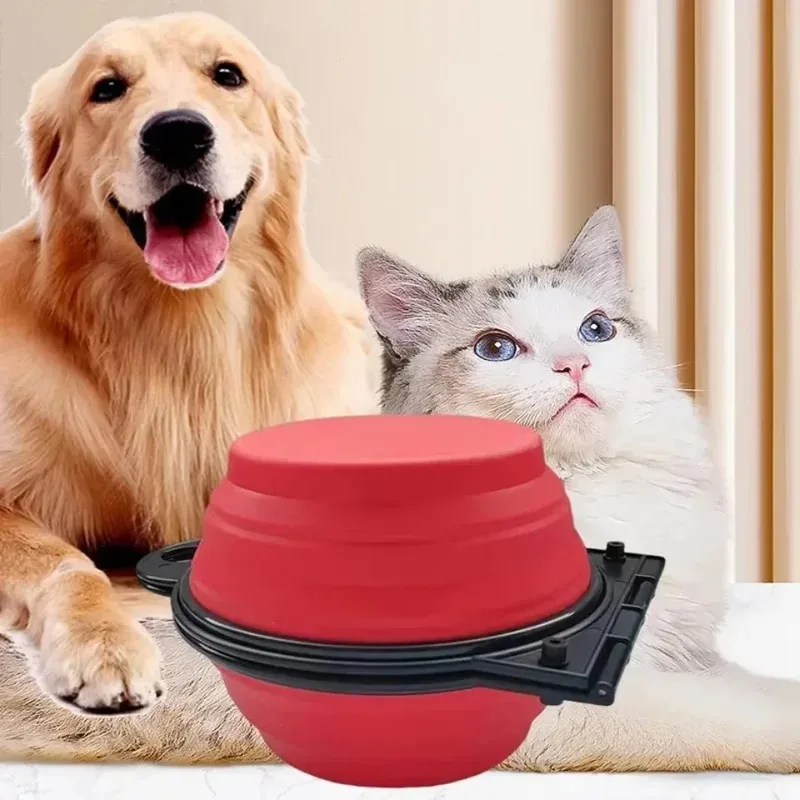 Cuenco doble plegable 2 en 1 para perros y gatos - Portátil para viaje - imagen 3