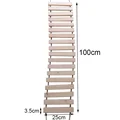 100cm Length ladder