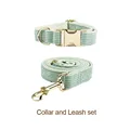 collar and leash set