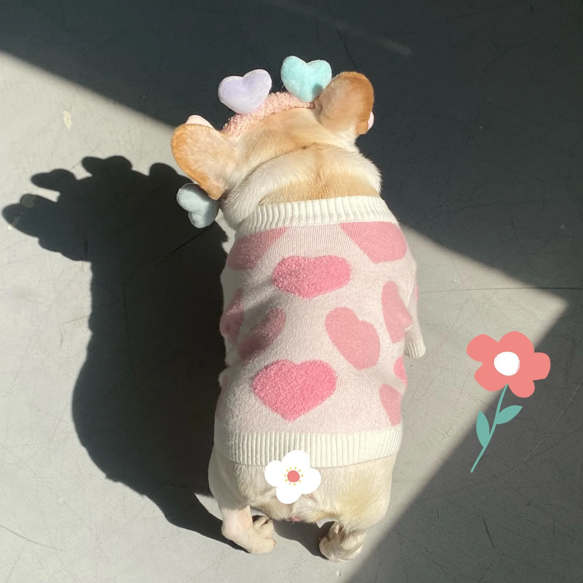 Suéter rosa para mascotas, ropa para perro, gato, amor, Ley, Lucha, peluche, Schnauzer, Red, cachorro rojo, Otoño e Invierno - imagen 4