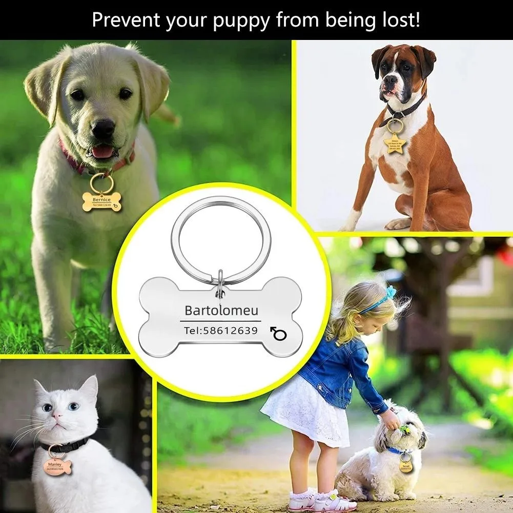 Etiqueta de identificación de mascota para perro y gato grabada personalizada, Collar antipérdida para perros, Collar con grabado de nombre de mascota para cachorros y gatos, accesorios - imagen 2
