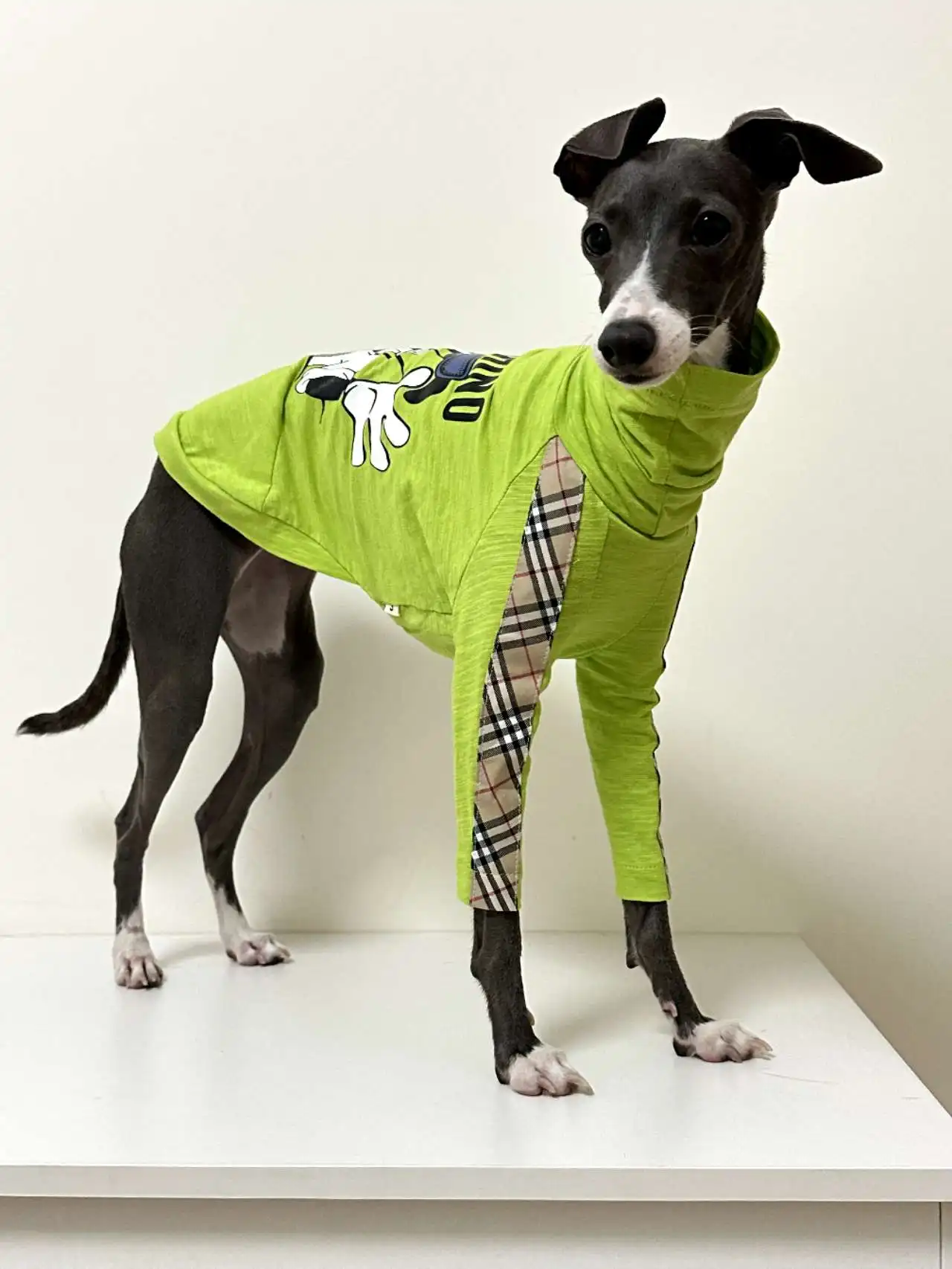 Camiseta de algodón de galgo a la moda, chaleco transpirable de dibujos animados para perros verdes, jersey para mascotas para perros pequeños, medianos y grandes, otoño y primavera - imagen 5