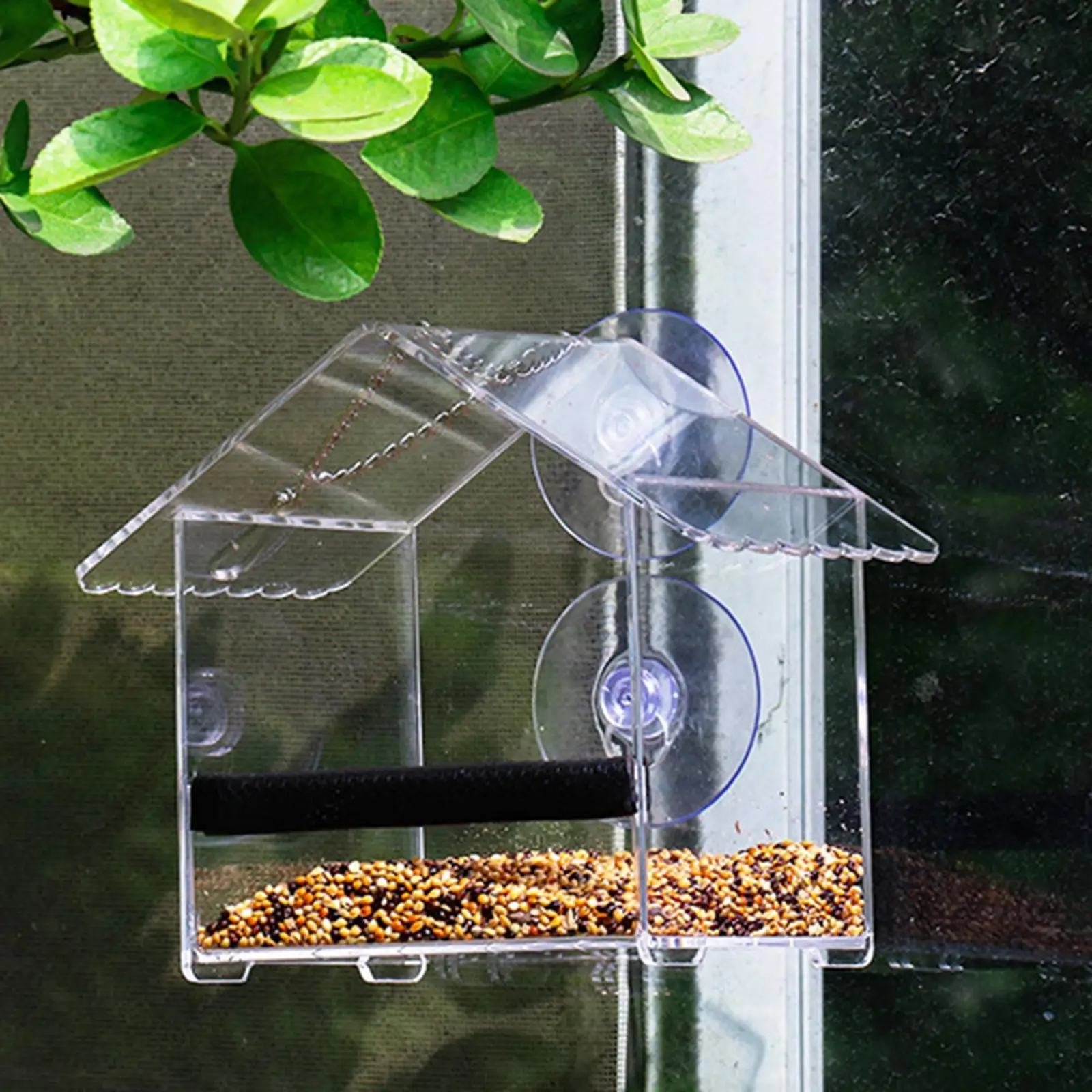 Window Bird Feeder with 2 Strong Suction Cups Transparent Acrylic Bird House