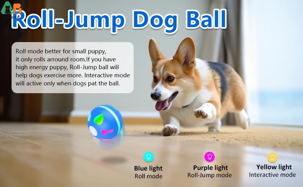 ROLLING DOG BALL