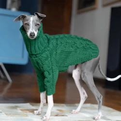 Suéter de punto cuello alto para galgo italiano y whippet – cómodo