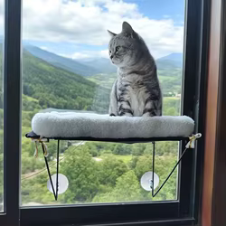 Hamaca con ventosa para gatos – Cama colgante de felpa transpirable