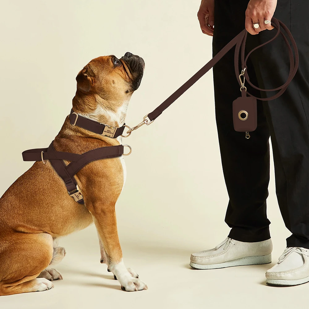 4 unids/lote, arnés de Collar para perro, conjunto de bolsa con correa, collares para perros personalizados, Collar con hebilla grabada gratis para mascotas, arnés, bolsas de basura de cuerda para perros - imagen 5