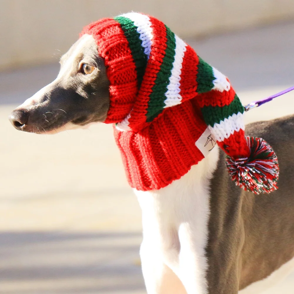 Gorro navideño de punto a rayas rojas con bola de lana para perros medianos, gorro suave y cálido con patrón de Año Nuevo para galgo italiano en invierno - imagen 3