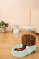 Automatic Pet Feeder