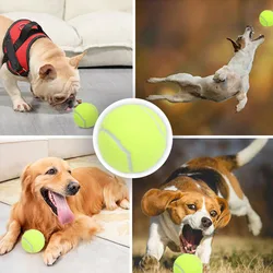 Pelota elástica de tenis para perros – Juguete masticar y entrenar