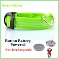 Green Battery
