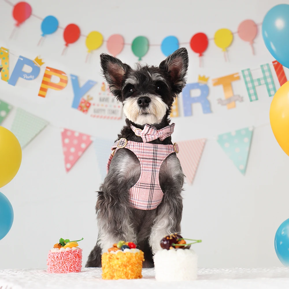 3 unids/set de arnés de Collar de perro a cuadros rosa con correa, bonito pajarita, Collar para perros, conjunto de correa, regalo de Navidad y Halloween, Chihuahua - imagen 2