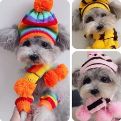 Conjunto de invierno 3 en 1 para perros: gorro, bufanda y guantes
