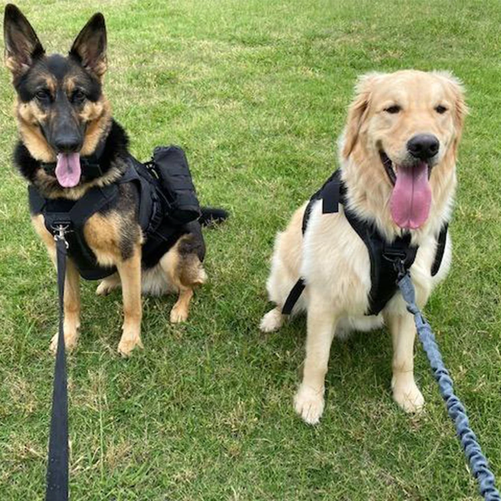 Conjunto de arnés táctico para perros, chaleco, correa y Collar para perros medianos/grandes, equipo para mascotas de estilo militar para entrenamiento y actividades al aire libre