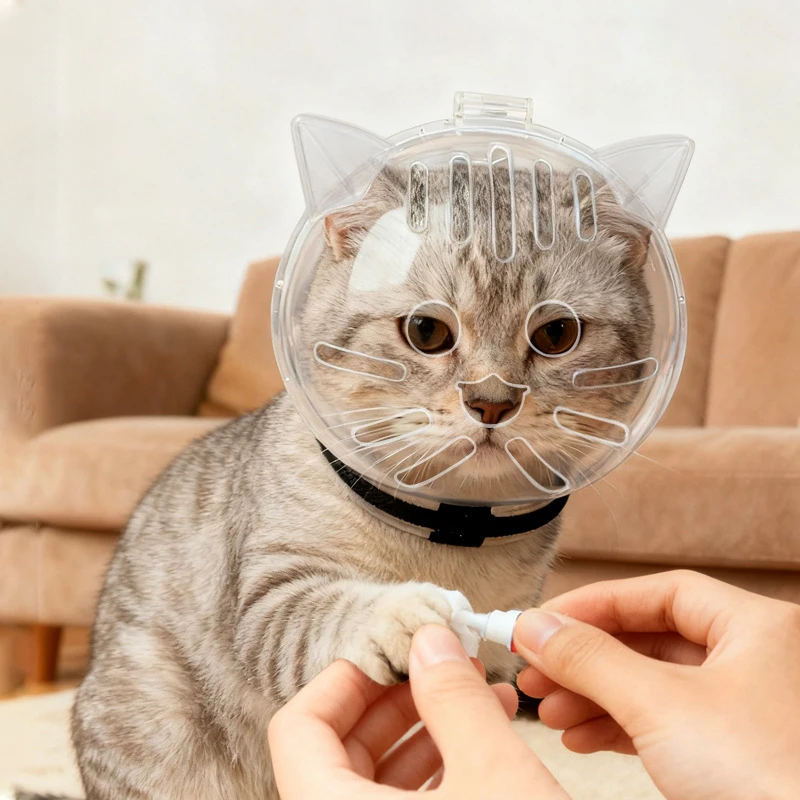 Cono isabelino para gato – Protector transparente anti-lamido