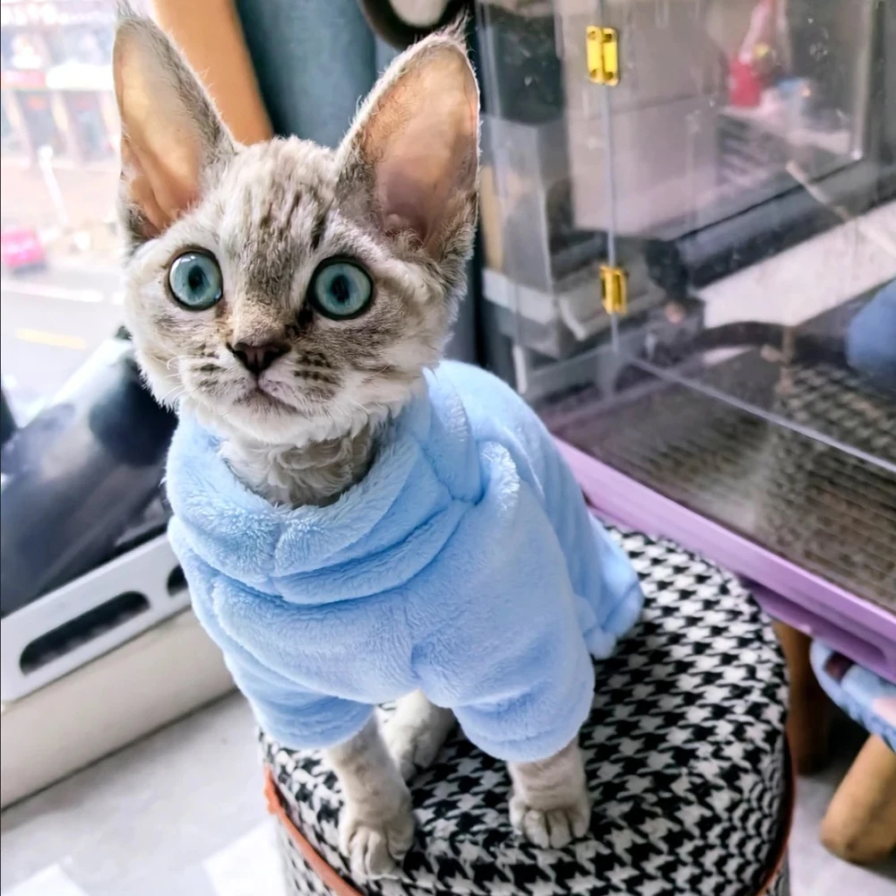 Ropa gruesa y cálida para gatos Sphynx, suéter de invierno para mascotas, sudaderas con capucha de Chinchilla persa, ropa para perros y mascotas, katten kleding - imagen 4