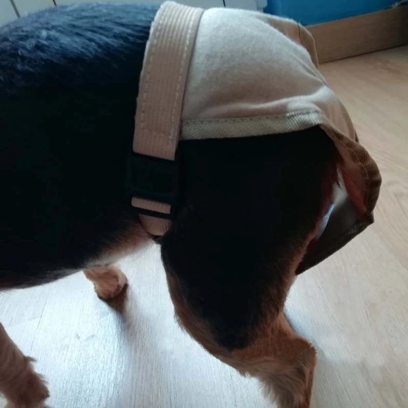 Ropa Interior Mascotas - Pantalones Cachorros Pañal Sanitario Lavable - imagen 3