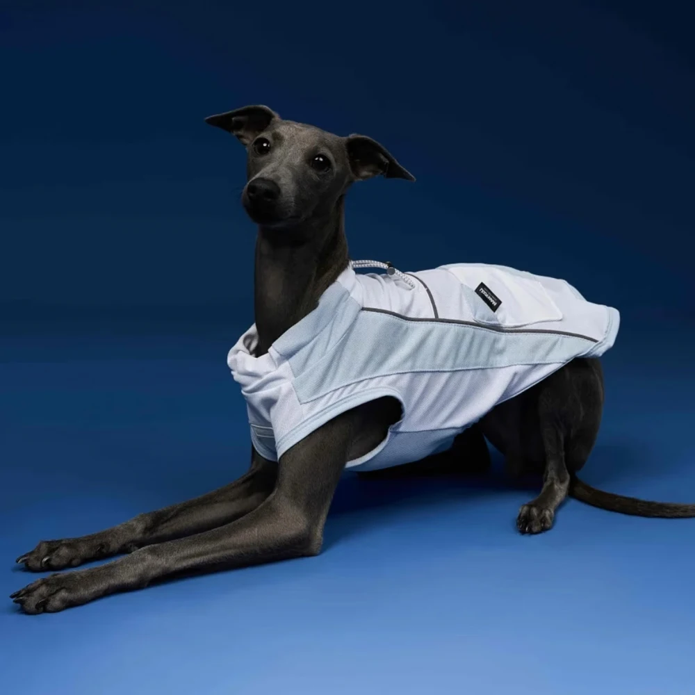 Chaleco refrescante para perros galgo italiano y whippet con capucha - imagen 4