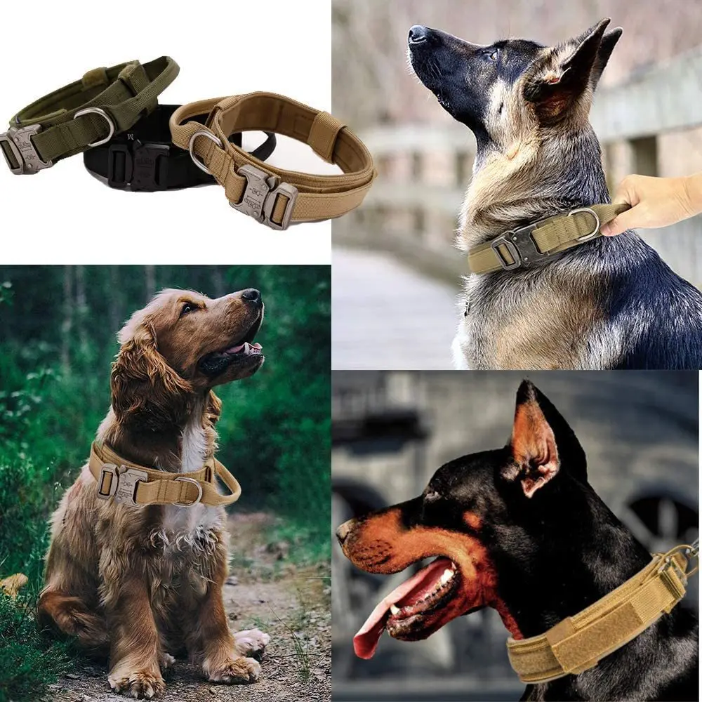 Arnés de entrenamiento para perros pequeños, chaleco táctico militar, accesorios para perros de mascotas, arneses para perros de razas pequeñas, suministros para mascotas para caminar - imagen 5