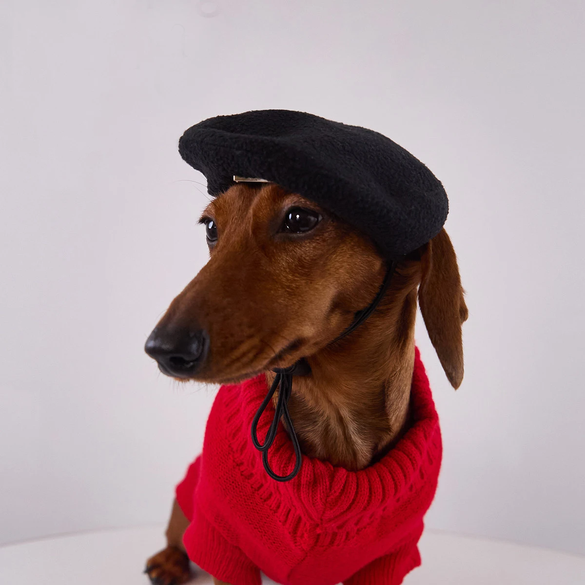 Boina de lana ajustable para perro Wiener – otoño invierno - imagen 5