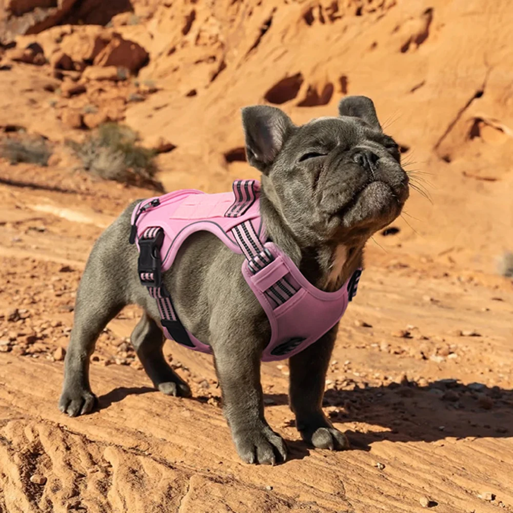 Arnés de mano para mascotas Bulldog Francés para perros pequeños y medianos, chaleco multifuncional con bolsa para caca, accesorios para mascotas - imagen 3