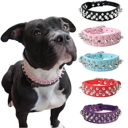 Collar de perro con púas para Bull Terrier y Doberman