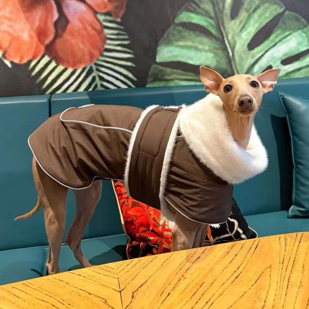 Capa con cuello de piel de invierno para perros Whippet de medios pequeños, elegante cinturilla ajustable, abrigo grueso y cálido para galgos italianos
