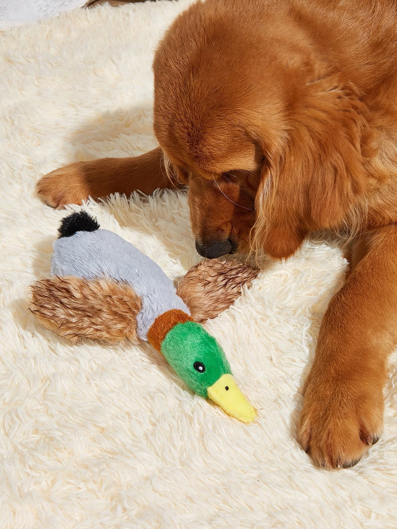 Juguete de peluche para perros estilo pato salvaje, suministros para perros adecuados para todos los perros pequeños, juguetes para mascotas, dientes divertidos y duraderos para masticar - imagen 4