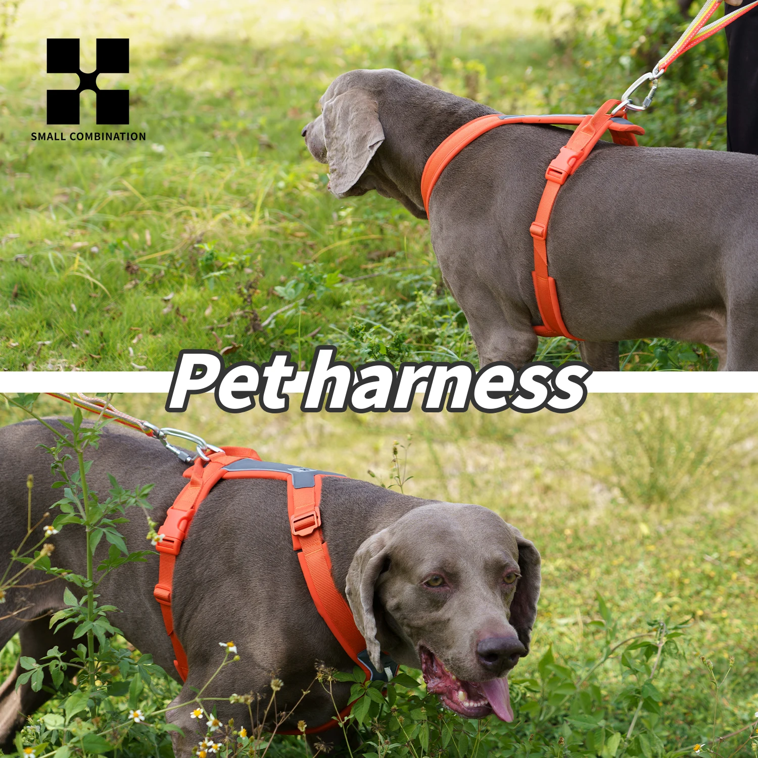 Arnés reflectante anti-tirones para perros pequeños, medianos y grandes - imagen 5
