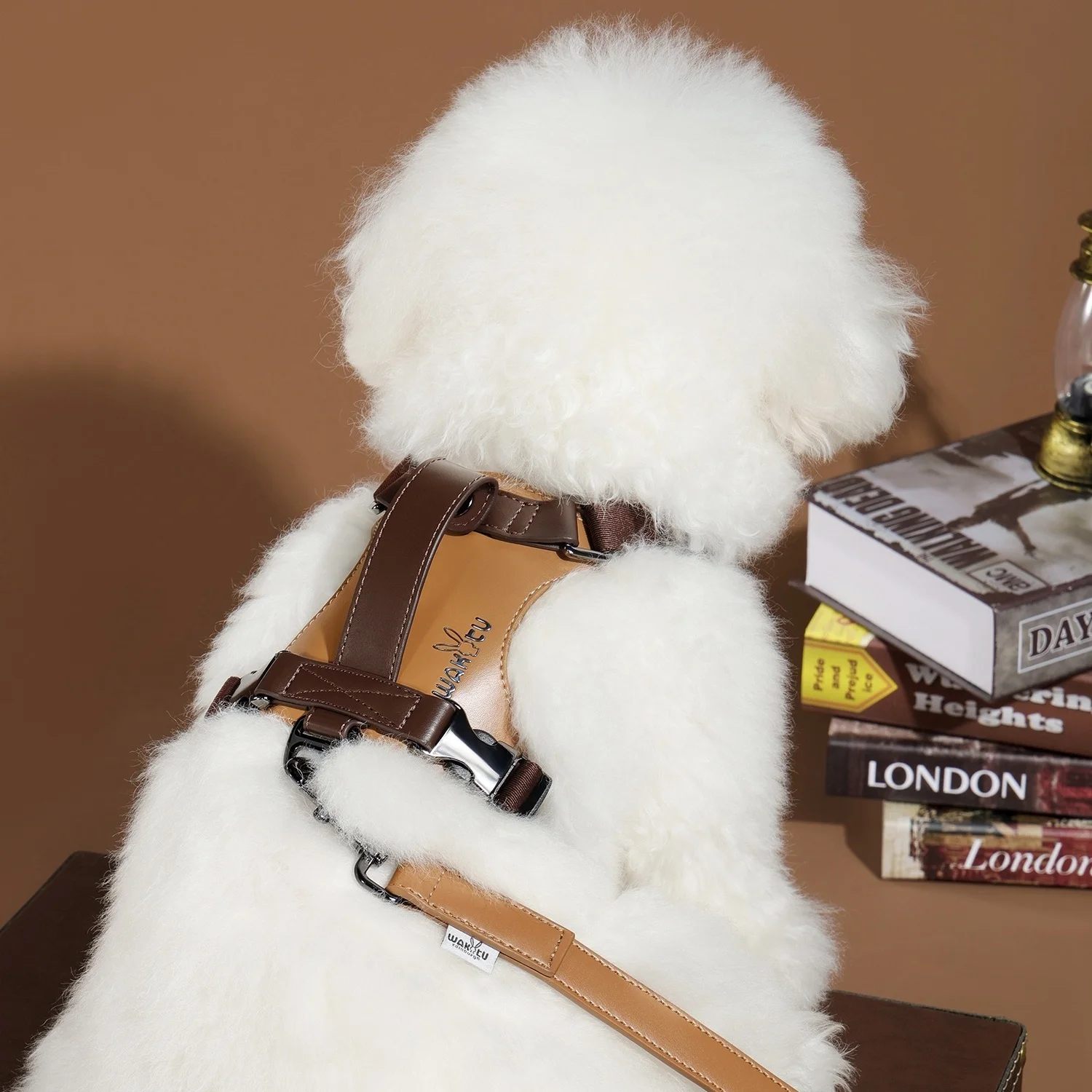 Arnés de cuero para mascotas con correa para perros pequeños a medianos Arnés de chaleco para perros suave y liviano con mochila Arnés ajustable para perros